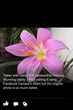 Facebook Camera: New iOS Stand-alone Camera App&nbsp;[REVIEW]