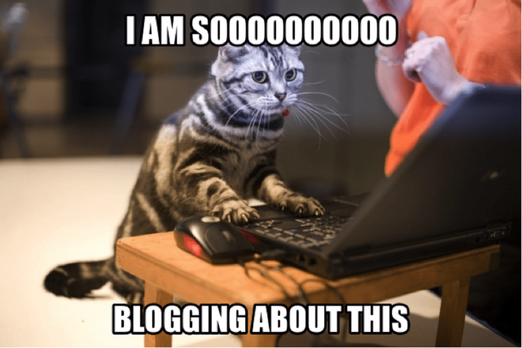 A Blog Post A Day Keep The Procrastination At Bay: Blogging Goals 2017
